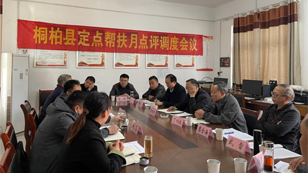 桐柏县大河镇：定点帮扶“三个三” 凝心聚力促振兴